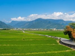 國旅人潮沒回來 台東改推「長住型旅遊」自救