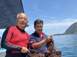 花蓮縣海洋環境管理再創佳績 廢漁網循環利用、海龜救援及全民守護海洋